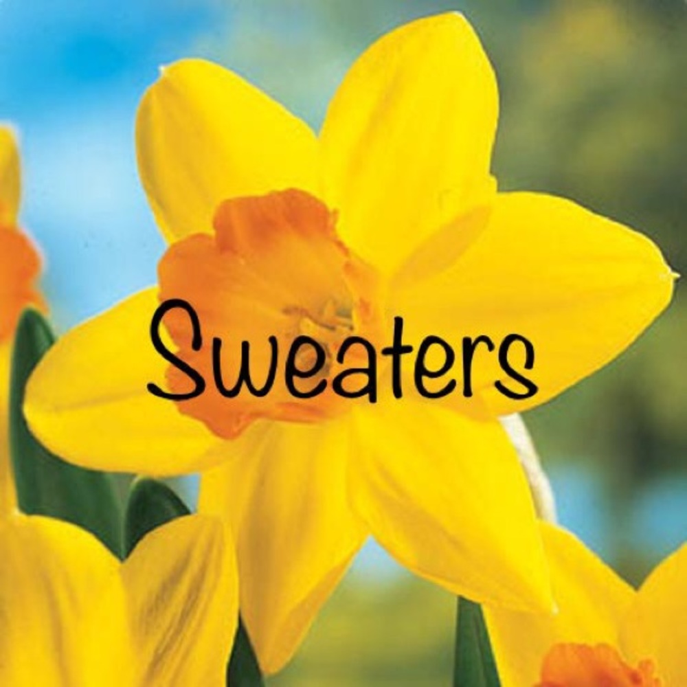 Sweaters